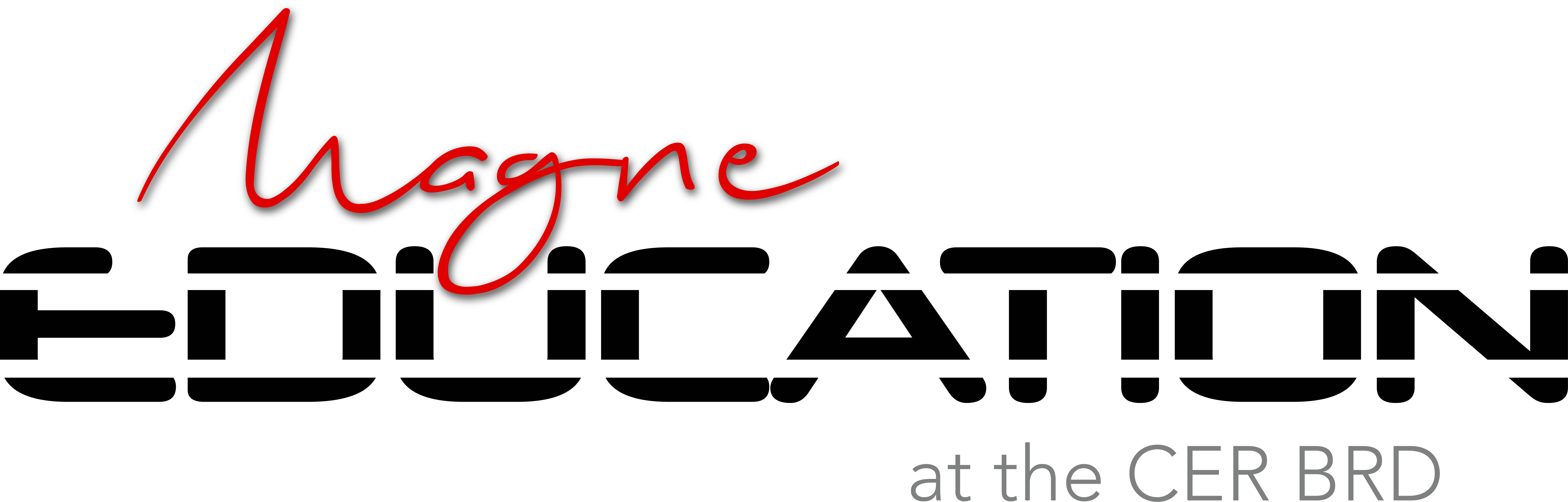Magne EDUCATION by Pascal Magne