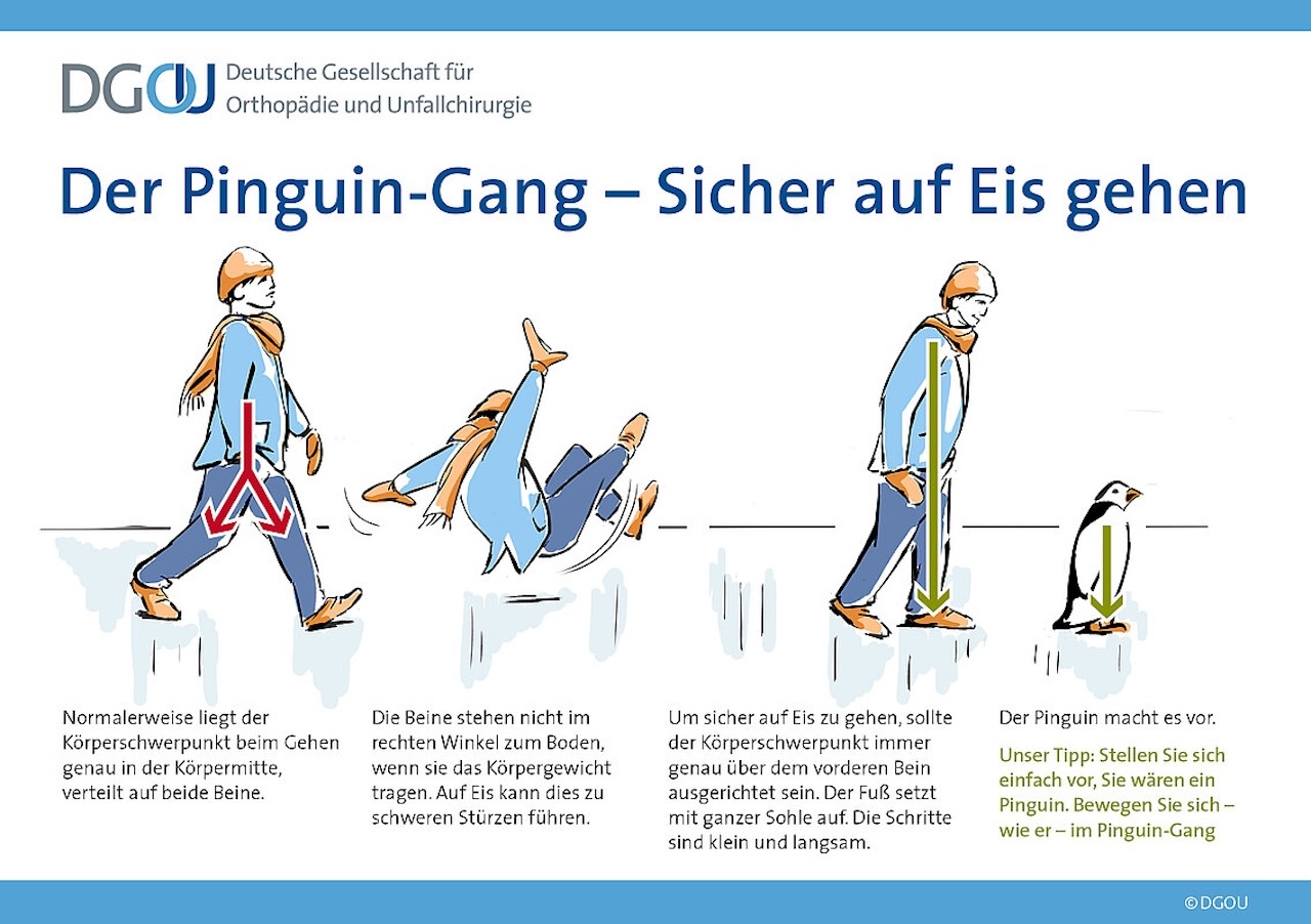 Vorbeugend langsam zu gehen: Der Pinguin macht es vor.