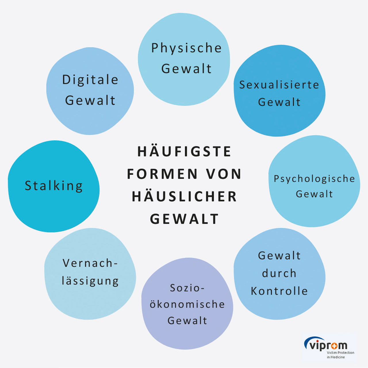 Abb. 1 Häufigste Formen der vorkommenden häuslichen Gewalt.