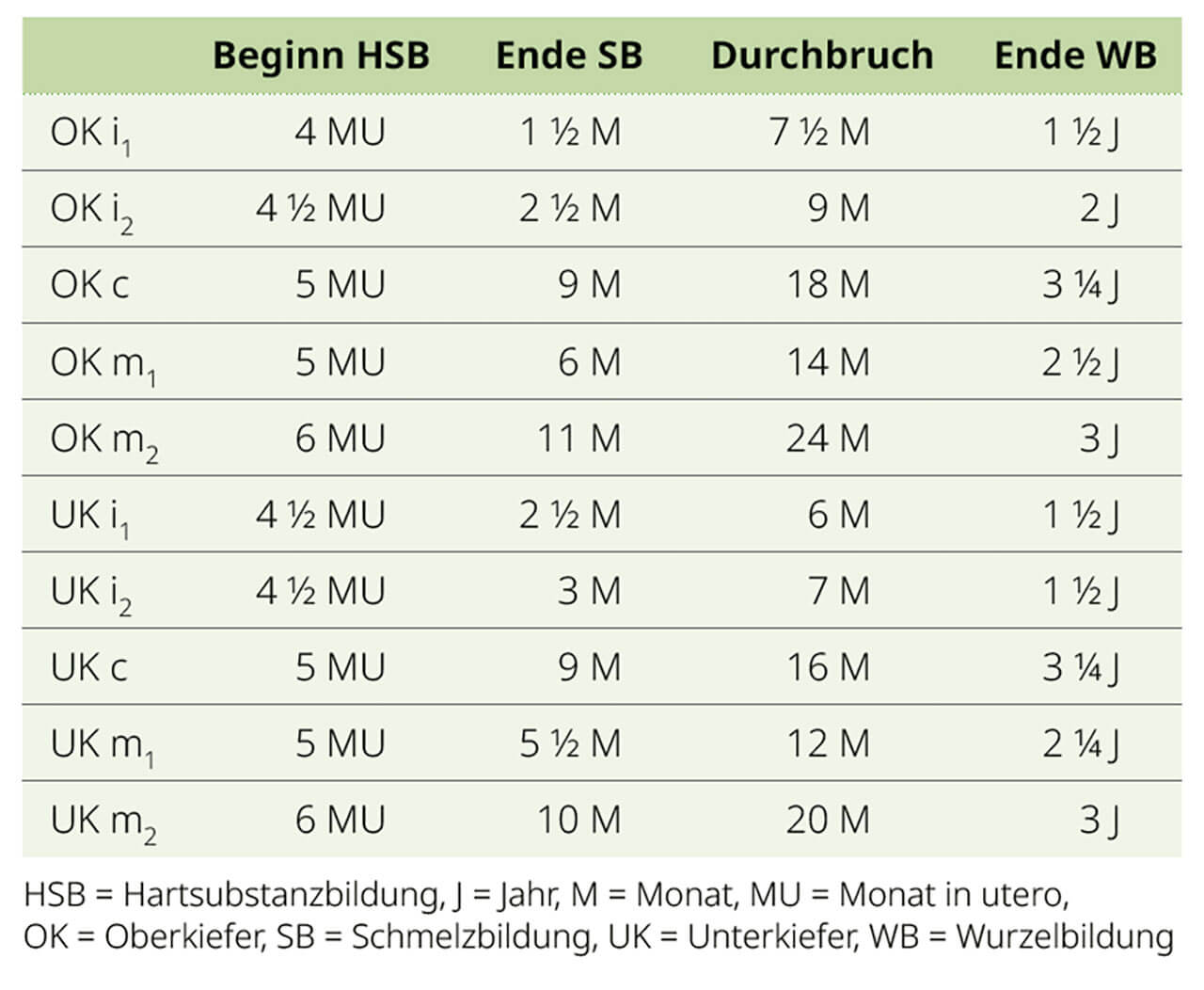 Tab. 1 Dentitionstabelle der Milchzähne nach Kronfeld und Schour (11).
