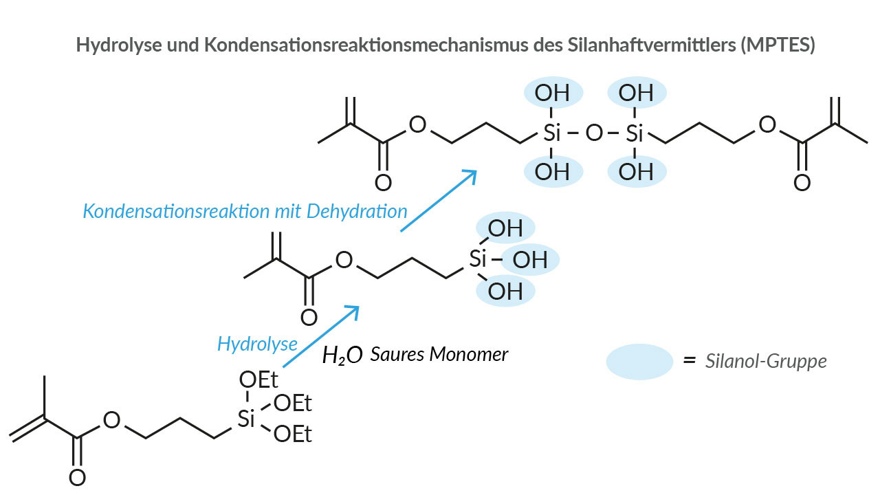 MPTES-Silanhaftvermittler: Durch Hydrolyse und Kondensation bilden sich Silanolgruppen, die sich reaktiv an Silikatkeramiken anbinden.