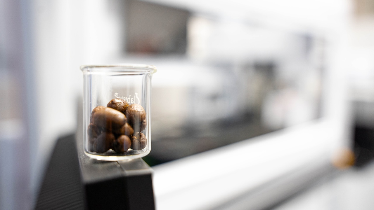 Kaffeebohnen in einem kleinen Glas vor dem Pipettierroboter. Der Hintergrund ist verschwommen und unkenntlich