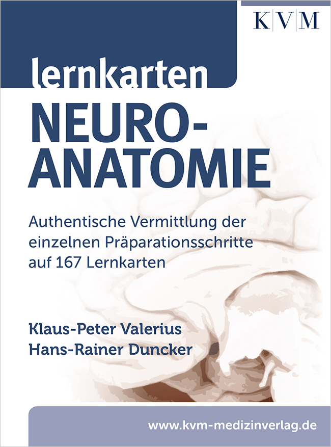 Valerius: Lernkarten Neuroanatomie