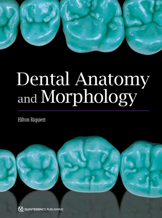 Riquieri: Dental Anatomy and Morphology