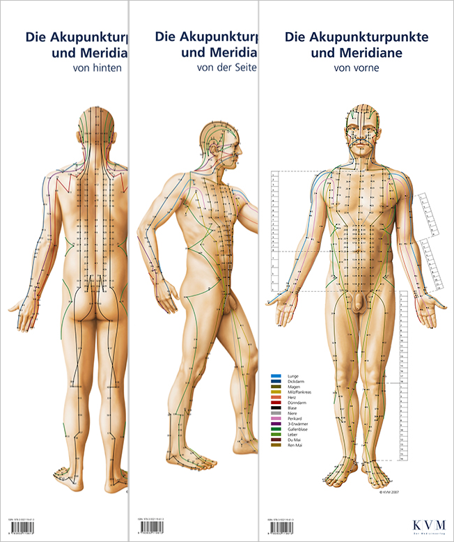 Lernposter: Die Akupunkturpunkte und Meridiane