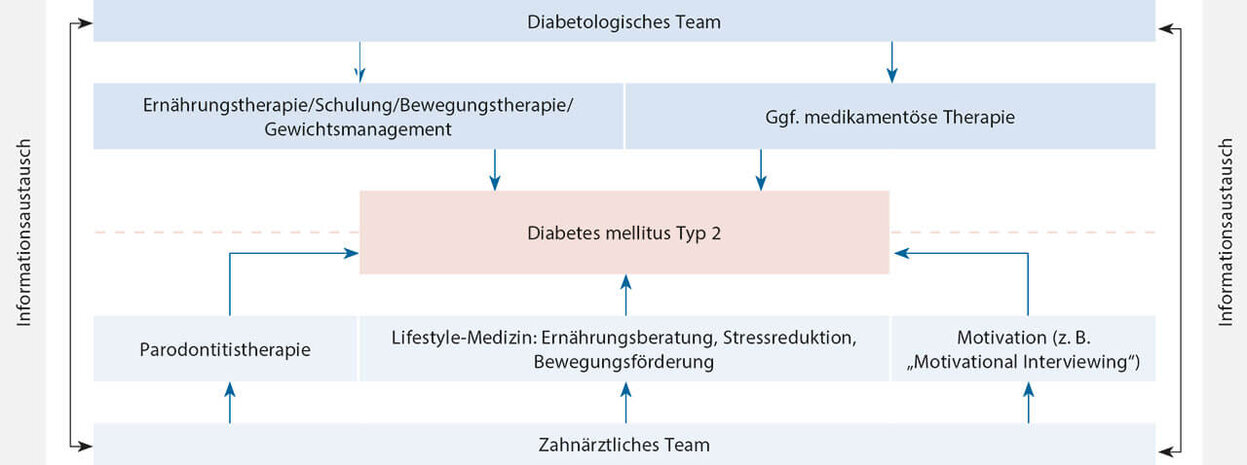 Abb. 2 Mögliches Zusammenwirken von diabetologischem und zahnärztlichem Team bei der Kontrolle des HbA1c-Wertes. Zu beachten ist, dass die Ernährungstherapie stets in den Händen professioneller Ernährungsfachkräfte bleibt; eine Ernährungsberatung hingegen könnte durch geschulte zahnärztliche Teams übernommen werden. Bei Diabetes mellitus Typ 2 könnte das zahnärztliche Team unter Vorgaben des diabetologischen Teams unterstützend und zusätzlich motivierend agieren. 