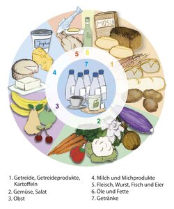 Der Ernährungskreis zeigt, wie sich eine gesunde Ernährung zusammensetzen sollte.